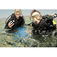 Introduction to Diving