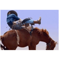 Rodeo Experience